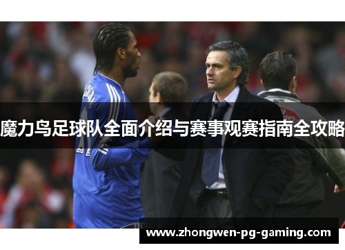 魔力鸟足球队全面介绍与赛事观赛指南全攻略