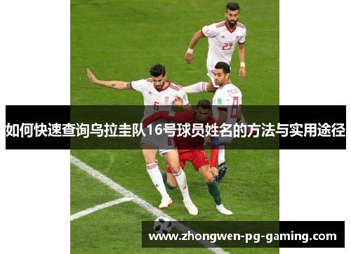 如何快速查询乌拉圭队16号球员姓名的方法与实用途径