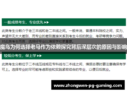 魔鸟为何选择老马作为依赖探究背后深层次的原因与影响