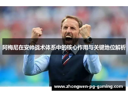 阿梅尼在安帅战术体系中的核心作用与关键地位解析